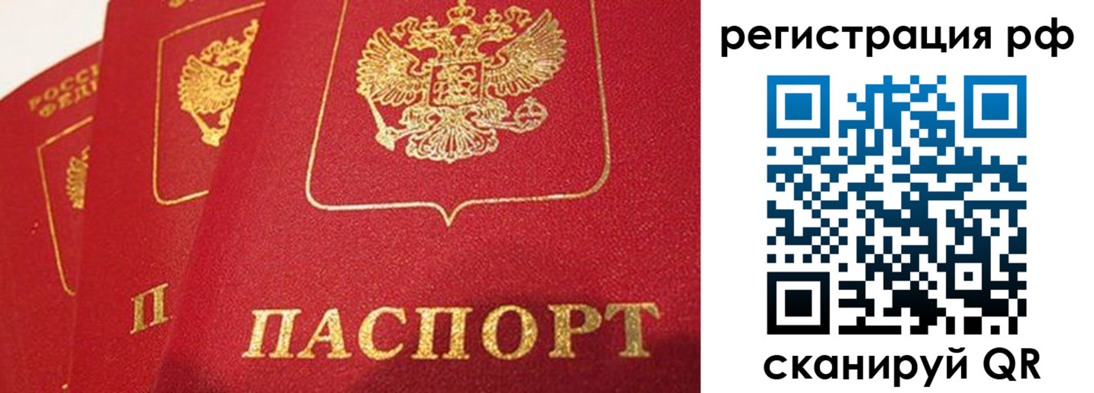 прописка поиск в Камешково